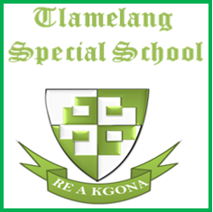 School logo